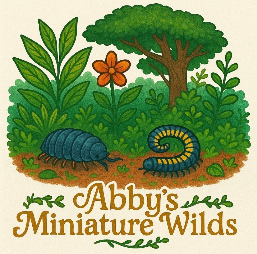 Abby's Miniature Wilds